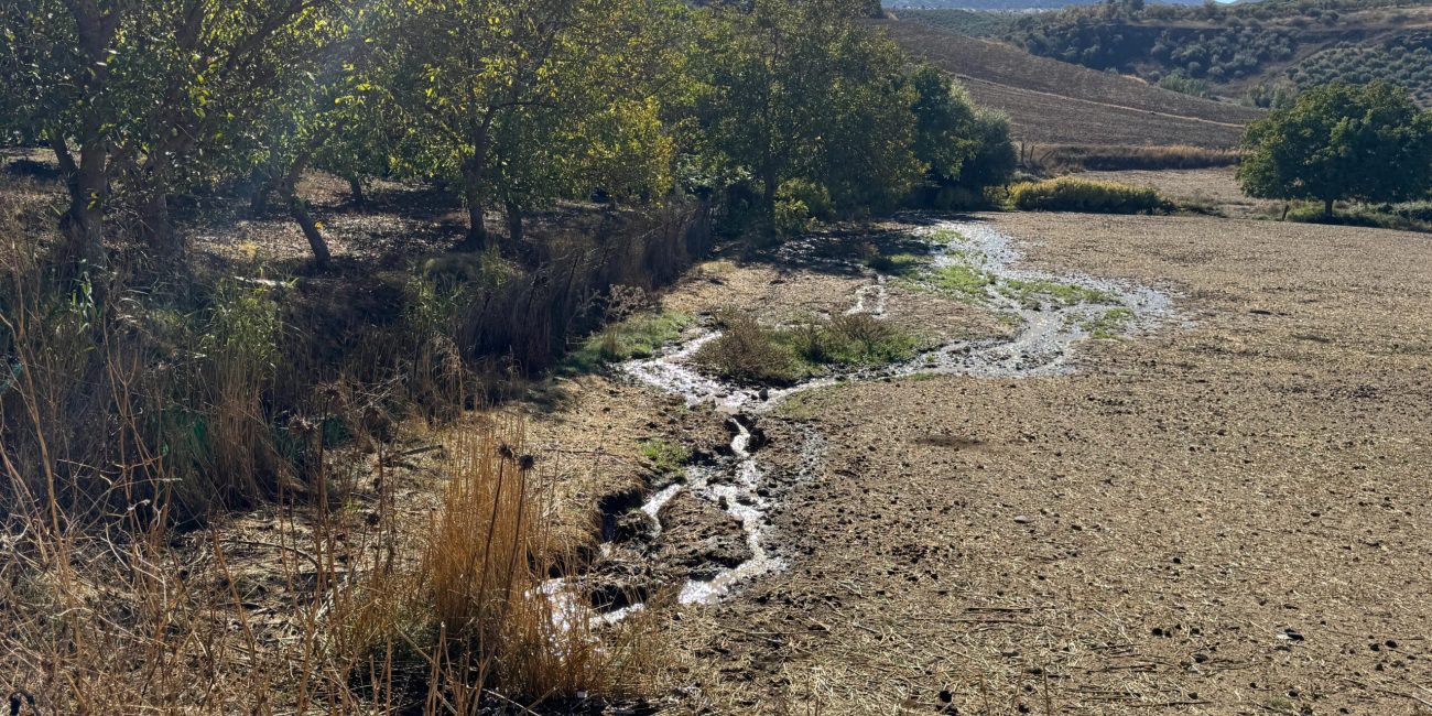La incidencia ha estado acompañada de signos preocupantes, como aguas de aspecto grisáceo y turbio