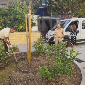 Trabajos realizados en la calle Virgen de Fátima, en la barriada de La Dehesa
