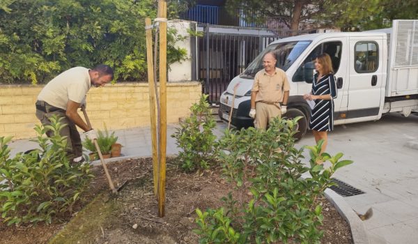 Trabajos realizados en la calle Virgen de Fátima, en la barriada de La Dehesa