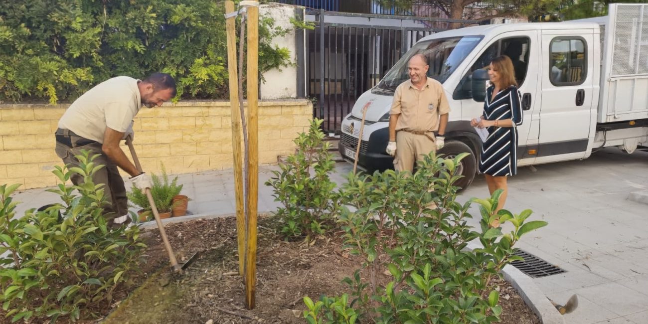 Trabajos realizados en la calle Virgen de Fátima, en la barriada de La Dehesa