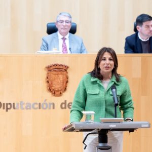 Fernández durante su intervención en el pleno de la Diputación