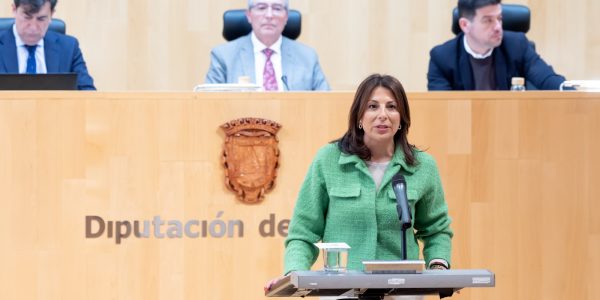 Fernández durante su intervención en el pleno de la Diputación