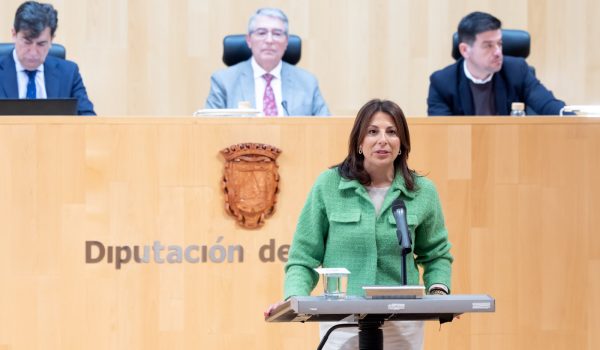 Fernández durante su intervención en el pleno de la Diputación