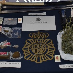 Los investigadores efectuaron la entrada en la vivienda en un dispositivo con apoyo de Policía Científica, Guías Caninos, UPR y patrullas del GAC