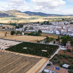 Está situado a las afueras del municipio y cuenta con un jardín de cactus con más de 350 especies. Está situado a las afueras del municipio y cuenta con un jardín de cactus con más de 350 especies.