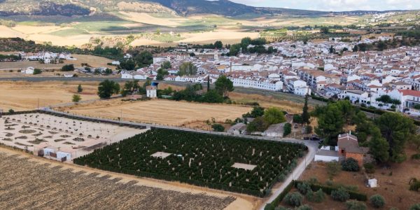 Está situado a las afueras del municipio y cuenta con un jardín de cactus con más de 350 especies. Está situado a las afueras del municipio y cuenta con un jardín de cactus con más de 350 especies.