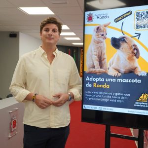 El concejal de Medio Ambiente, Jorge Fernández, en rueda de prensa