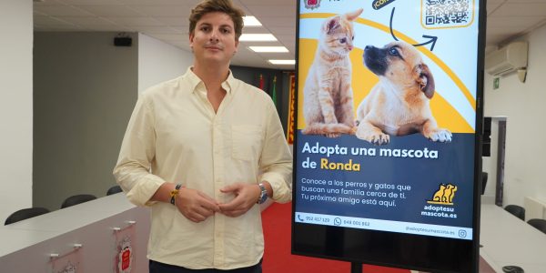 El concejal de Medio Ambiente, Jorge Fernández, en rueda de prensa