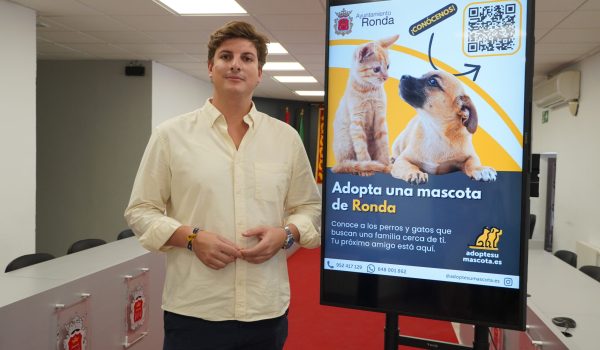 El concejal de Medio Ambiente, Jorge Fernández, en rueda de prensa