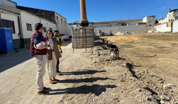 La alcaldesa, María de la Paz Fernández, ha visitado los trabajos