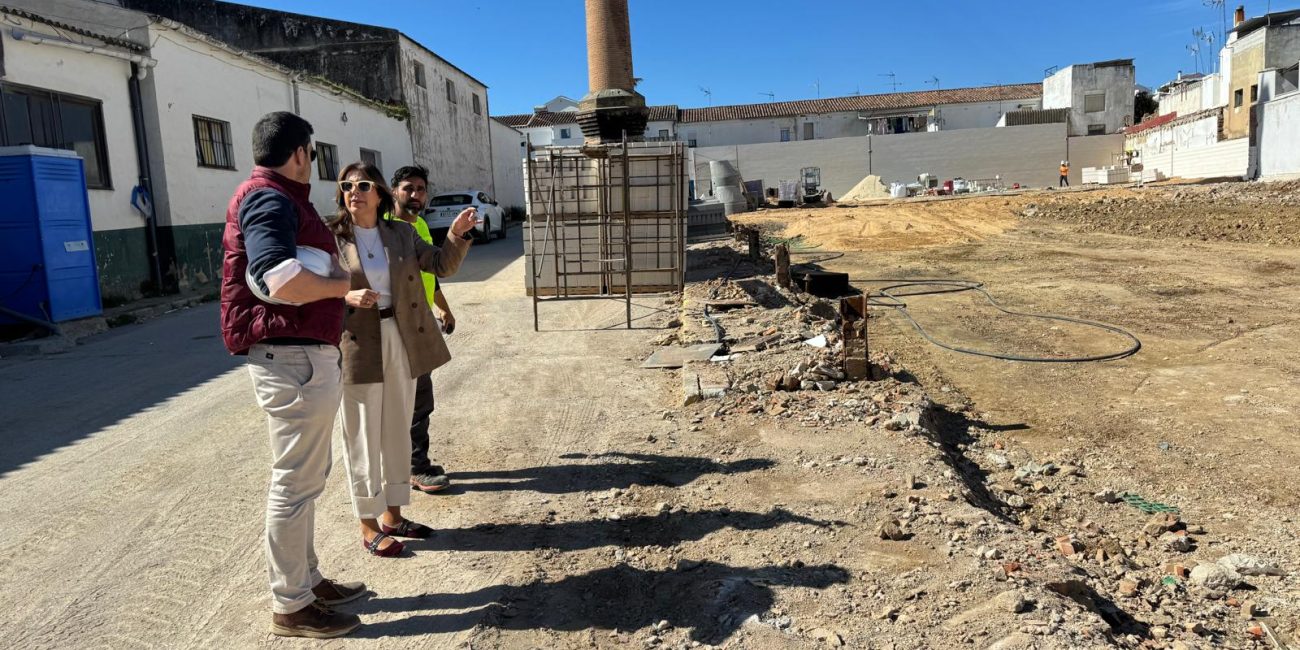 La alcaldesa, María de la Paz Fernández, ha visitado los trabajos