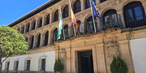 Las empresas interesadas podrán presentar sus ofertas hasta el 29 de diciembre