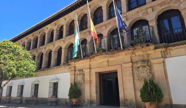 Las empresas interesadas podrán presentar sus ofertas hasta el 29 de diciembre