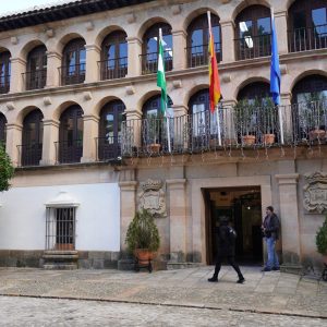 La alcaldesa, Mari Paz Fernández, destacó que estas decisiones reflejan el compromiso del Ayuntamiento con las entidades sociales y culturales de Ronda.