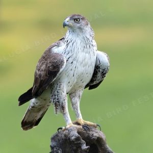 34ff9c594120b8d5fd4cc36ce9ee5b898a44b9ff