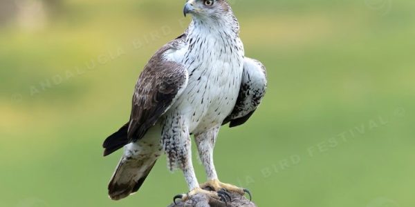 34ff9c594120b8d5fd4cc36ce9ee5b898a44b9ff