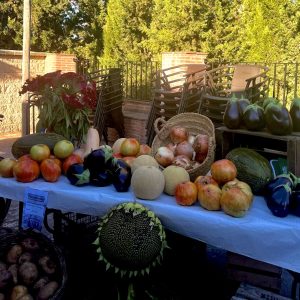El Barrio de San Francisco celebra la II Muestra de Hortelanos