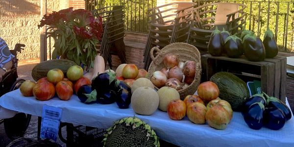 El Barrio de San Francisco celebra la II Muestra de Hortelanos