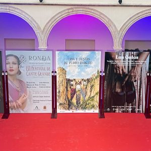 Presentación carteles