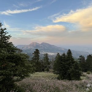 El territorio fue declarado Parque Nacional en el año 2021