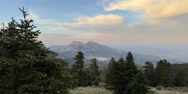 El territorio fue declarado Parque Nacional en el año 2021