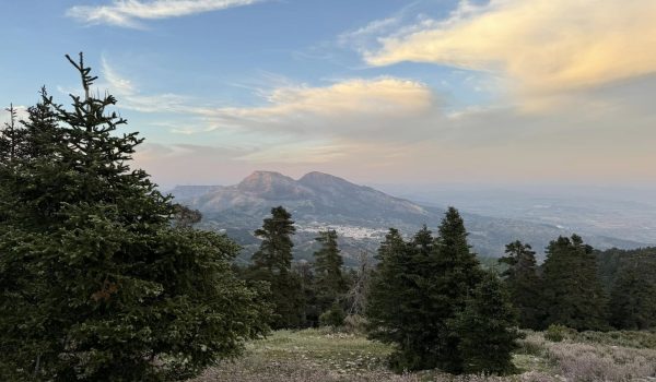 El territorio fue declarado Parque Nacional en el año 2021