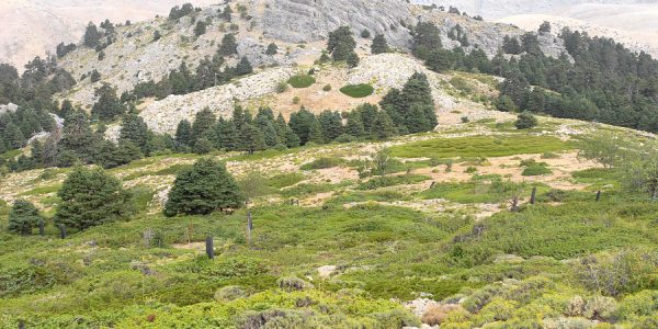 Este espacio natural se convirtió en 2021 en el decimosexto Parque Nacional de España