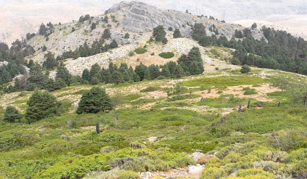 Este espacio natural se convirtió en 2021 en el decimosexto Parque Nacional de España