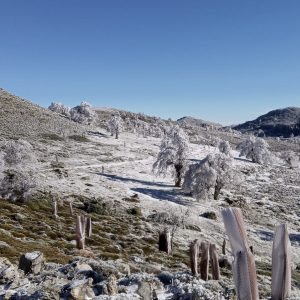 Parque Nacional Sierra de las Nieves