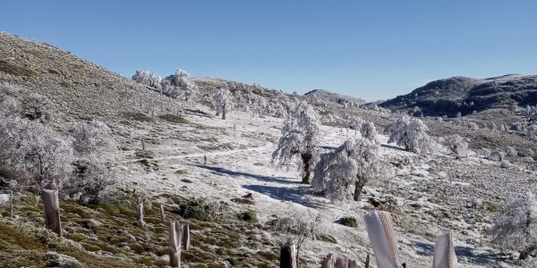 Parque Nacional Sierra de las Nieves