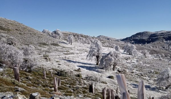 Parque Nacional Sierra de las Nieves