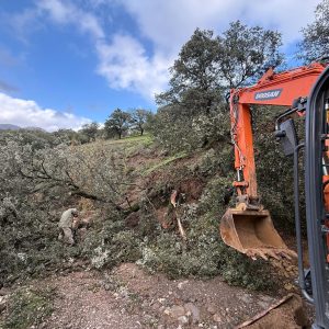El entorno especialmente dañado es por el que discurre el arroyo Audalázar