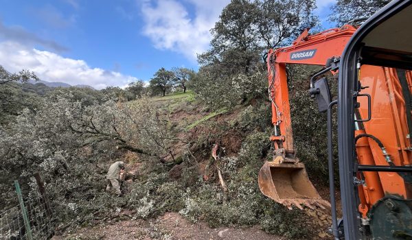 El entorno especialmente dañado es por el que discurre el arroyo Audalázar