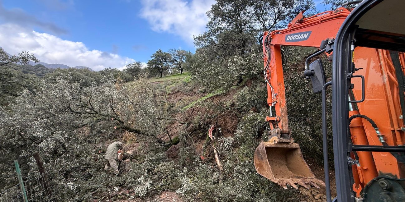 El entorno especialmente dañado es por el que discurre el arroyo Audalázar