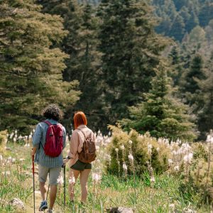 Parque Nacional Sierra de las Nieves