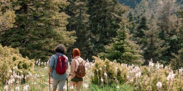 Parque Nacional Sierra de las Nieves