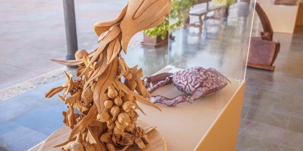 El premio responde al interés de la institución por incentivar la producción artística y la tradición artesanal dentro su ámbito de actuación y de acercar la cultura y la artesanía al gran público