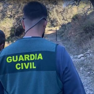 El detenido era el exmarido de la actual pareja de la víctima | Guardia Civil