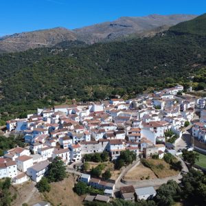 Escuela de verano Valle del Genal