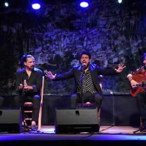 XI edición del Festival Flamenco Simón y Luis Núñez