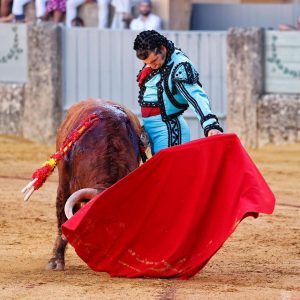 Tras dos años sin toros, destaca también el regreso de Morante | Arjona
