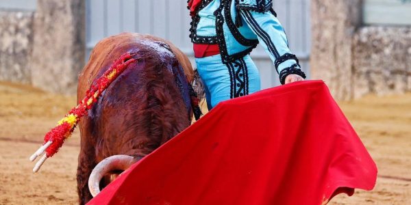 Tras dos años sin toros, destaca también el regreso de Morante | Arjona