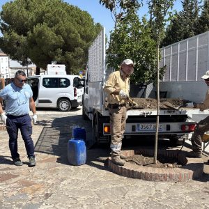 inicio de mejoras en la zona ajardinada situada al final de la calle Sevilla