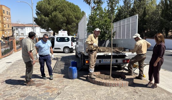 inicio de mejoras en la zona ajardinada situada al final de la calle Sevilla
