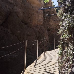 El itinerario se extiende por alrededor de un kilómetro