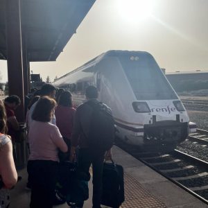 Estos trabajos suponen un importante impulso al proceso de electrificación de esta línea ferroviaria en ancho convencional