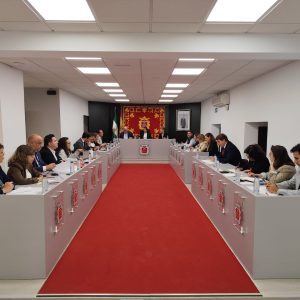 Imagen de la sesión plenaria