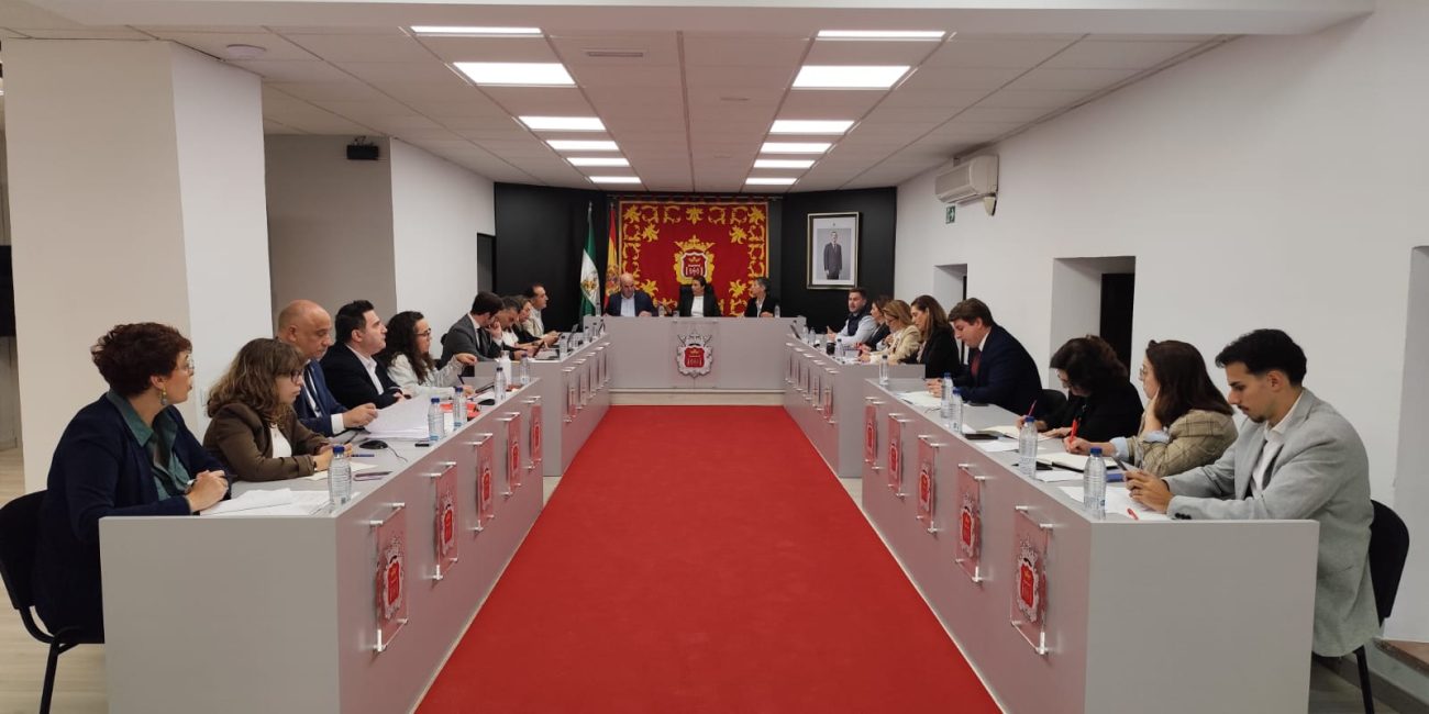 Imagen de la sesión plenaria