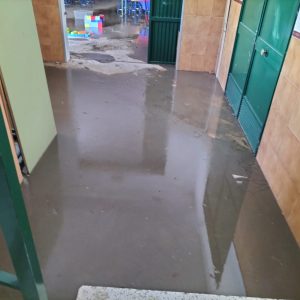 El interior del colegio Virgen de la Cabeza en la jornada de hoy.