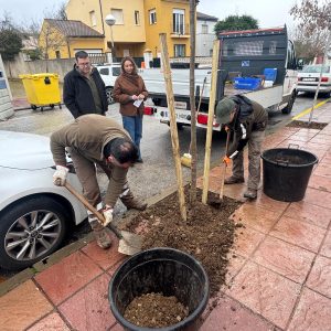 El plan iniciado en la Torrecilla responde a una demanda ciudadana.